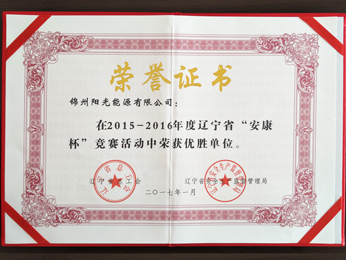 Winner of 2015-2016 "Ankang Cup" Competition