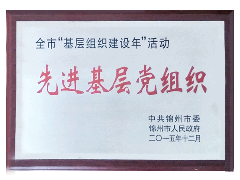 Advanced Grassroots Party Organization in 2014 "Year of Grassroots Organization Construction"
