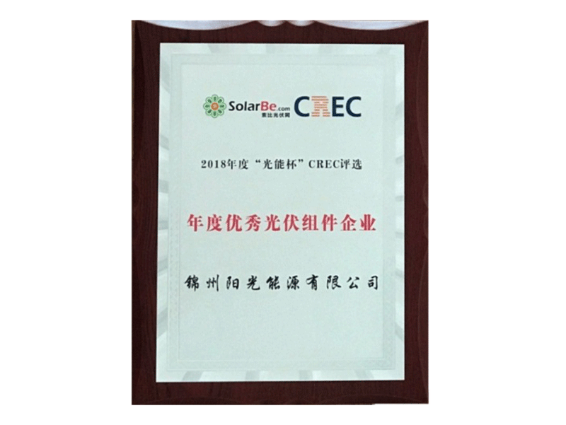 Outstanding Photovoltaic Module Enterprise of the Year