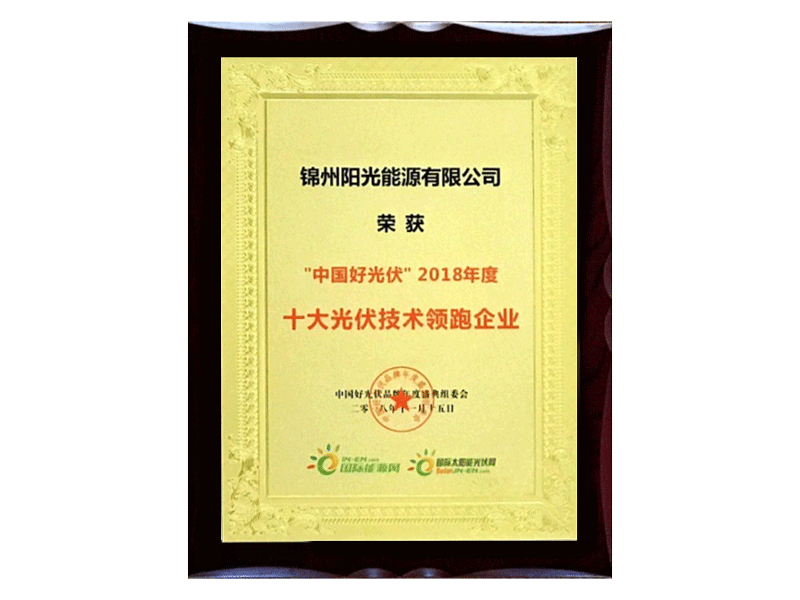Top 10 Photovoltaic Technology Top-Runner Enterprise