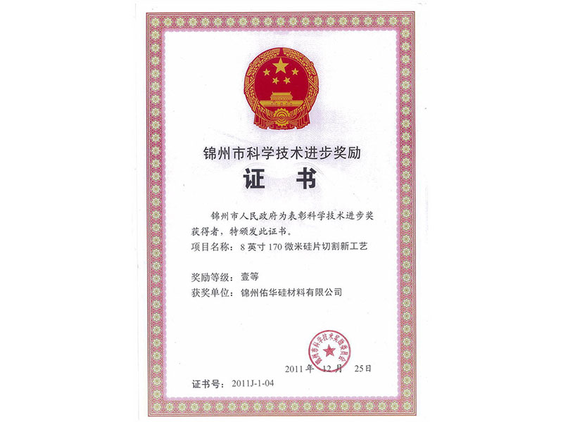 2011 Municipal First Award